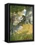 Robin Hood and His Companions Rescue Will Stutely-Newell Convers Wyeth-Framed Stretched Canvas