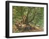 Robin Hood and His Merry Men in Sherwood Forest, 1859-Edmund Warren George-Framed Giclee Print