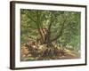 Robin Hood and His Merry Men in Sherwood Forest, 1859-Edmund Warren George-Framed Premium Giclee Print