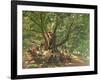 Robin Hood and His Merry Men in Sherwood Forest, 1859-Edmund Warren George-Framed Giclee Print