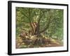 Robin Hood and His Merry Men in Sherwood Forest, 1859-Edmund Warren George-Framed Giclee Print