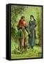 Robin Hood and Maid Marian-null-Framed Stretched Canvas