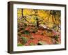 Robin Hood's Delight-Doug Chinnery-Framed Photographic Print