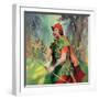 Robin Hood-McConnell-Framed Giclee Print