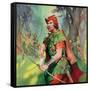 Robin Hood-McConnell-Framed Stretched Canvas