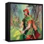 Robin Hood-McConnell-Framed Stretched Canvas