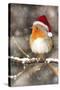 Robin in Falling Snow Wearing Christmas Hat-null-Stretched Canvas