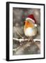 Robin in Falling Snow Wearing Christmas Hat-null-Framed Photographic Print