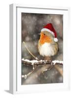 Robin in Falling Snow Wearing Christmas Hat-null-Framed Photographic Print