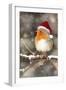 Robin in Falling Snow Wearing Christmas Hat-null-Framed Photographic Print