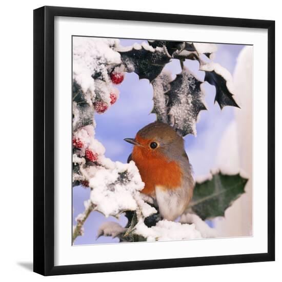 Premium Photographic Print, , large