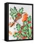 Robin in the Holly-Tony Todd-Framed Stretched Canvas