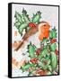 Robin in the Holly-Tony Todd-Framed Stretched Canvas