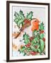 Robin in the Holly-Tony Todd-Framed Giclee Print