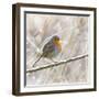 Robin in Winter Snow-null-Framed Photographic Print