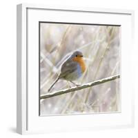 Robin in Winter Snow-null-Framed Photographic Print