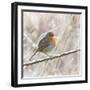 Robin in Winter Snow-null-Framed Photographic Print