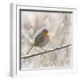 Robin in Winter Snow-null-Framed Photographic Print