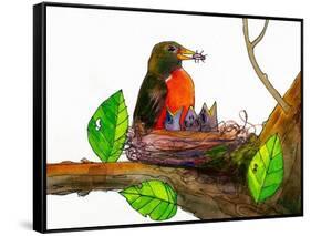 Robin Love Bug Print-Blenda Tyvoll-Framed Stretched Canvas