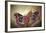 Robin Moths-Jimmy Hoffman-Framed Giclee Print