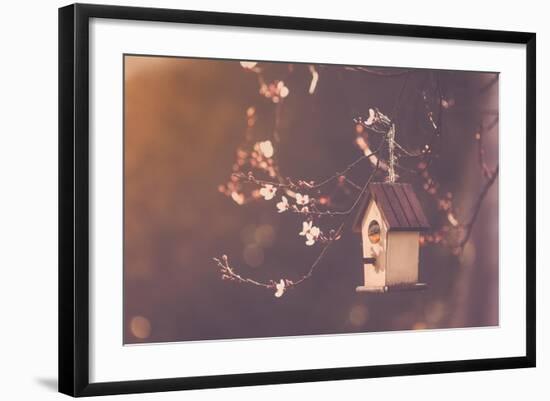 Robin Nesting in a Bird House in a Almond Tree-Cristinagonzalez-Framed Photographic Print