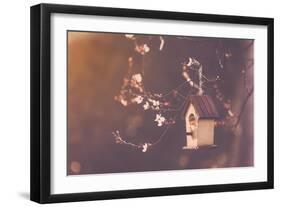 Robin Nesting in a Bird House in a Almond Tree-Cristinagonzalez-Framed Photographic Print