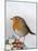 Robin on Holly-null-Mounted Photographic Print