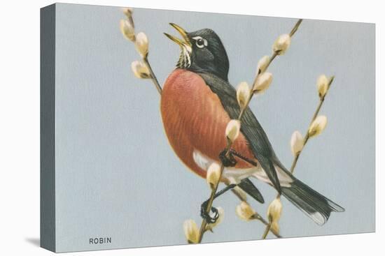 Robin on Pussy Willows-null-Stretched Canvas