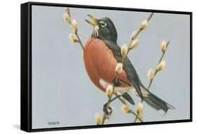 Robin on Pussy Willows-null-Framed Stretched Canvas