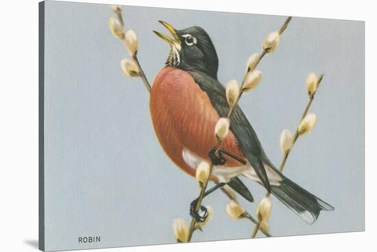 Robin on Pussy Willows-null-Stretched Canvas