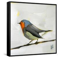 Robin on Wire-Angela Moulton-Framed Stretched Canvas