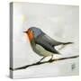 Robin on Wire-Angela Moulton-Stretched Canvas