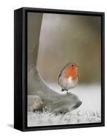 Robin Perched on Boot, UK-T.j. Rich-Framed Stretched Canvas