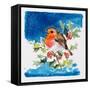 Robin Red-Breast, 1996-Diane Matthes-Framed Stretched Canvas