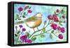 Robin Roses-Jennifer Zsolt-Framed Stretched Canvas