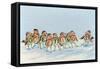 Robin's Late Arrival, 2008-David Cooke-Framed Stretched Canvas