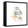 Robin Sketch II-Emma Scarvey-Framed Stretched Canvas