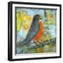 Robin Still Life-Blenda Tyvoll-Framed Art Print