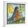 Robin Still Life-Blenda Tyvoll-Framed Art Print