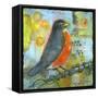 Robin Still Life-Blenda Tyvoll-Framed Stretched Canvas