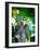 Robin Thicke-null-Framed Photo