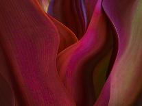 The Shades of Autumn-Robin Wechsler-Giclee Print