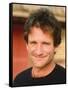 Robin Williams-null-Framed Stretched Canvas