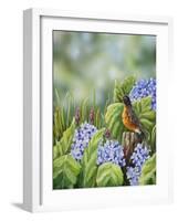 Robin with Hydrangeas-Sarah Davis-Framed Giclee Print