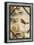 Robin-Kate Ward Thacker-Framed Stretched Canvas