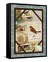 Robin-Kate Ward Thacker-Framed Stretched Canvas