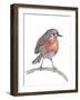 Robin-Elizabeth Rider-Framed Giclee Print