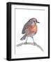 Robin-Elizabeth Rider-Framed Giclee Print