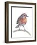 Robin-Elizabeth Rider-Framed Giclee Print