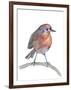 Robin-Elizabeth Rider-Framed Giclee Print